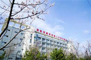 校园景色